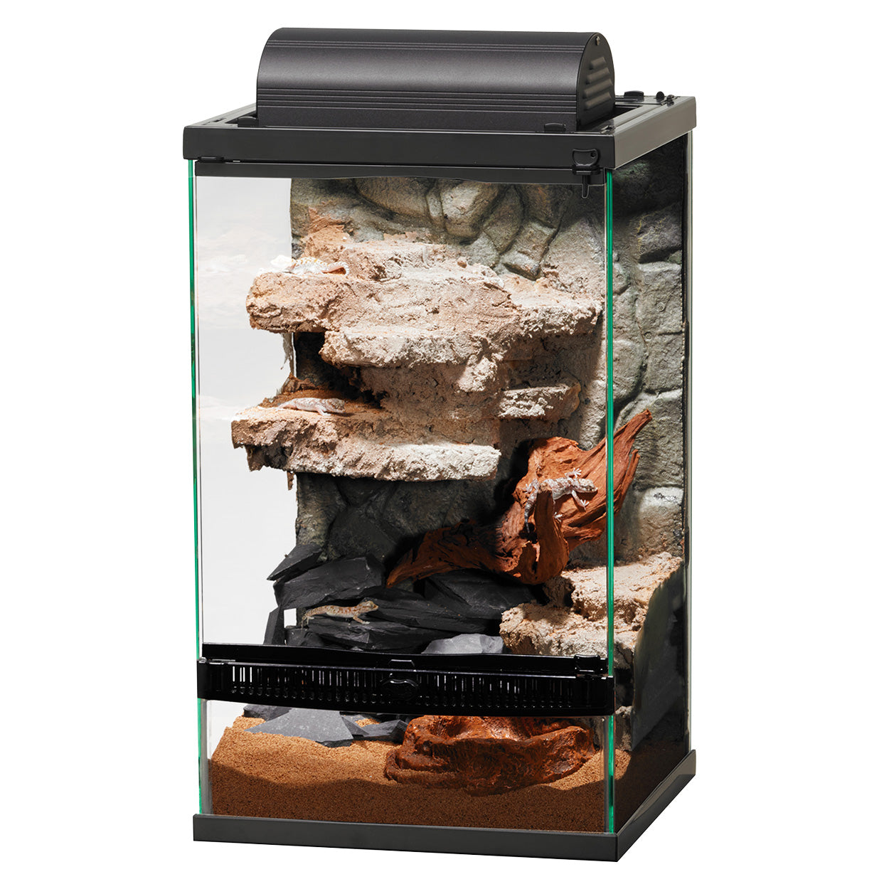 Terrarium à ouverture frontale Zilla