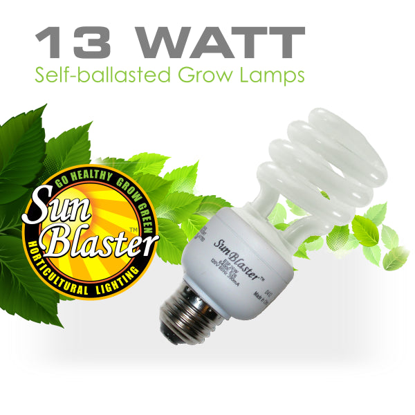 SunBlaster CFL 6400K Bulb
