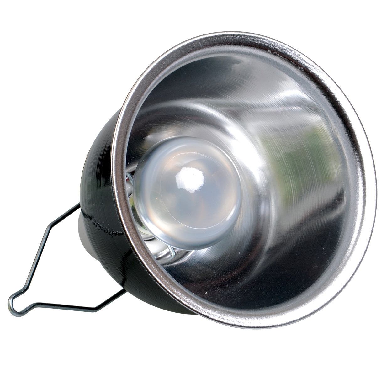 Zoo Med Desert Lighting Combo