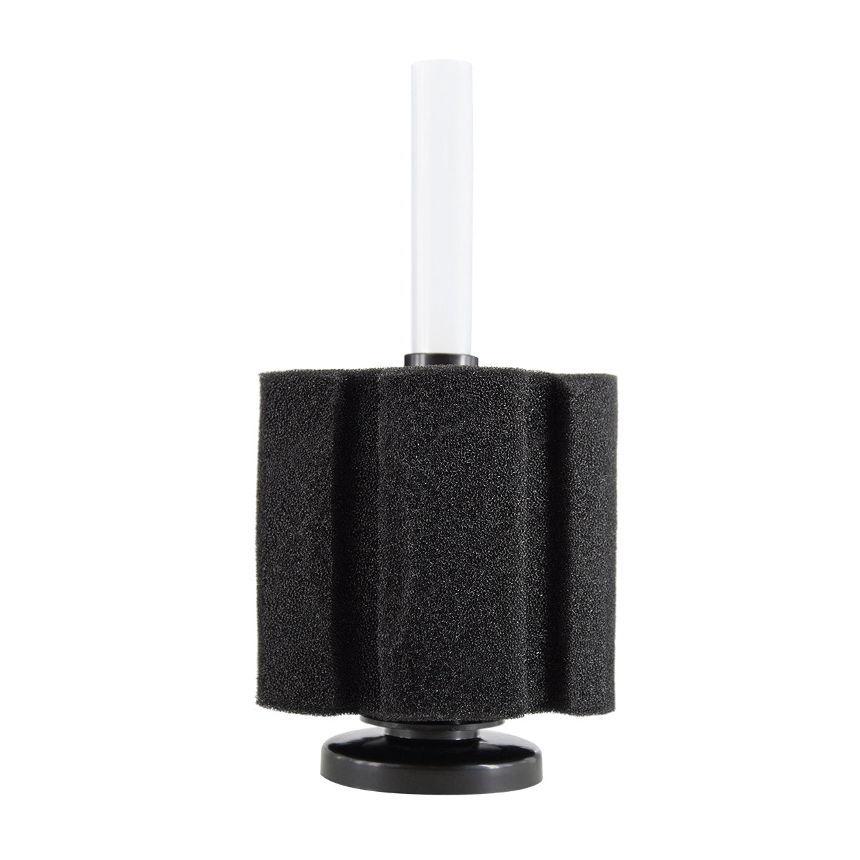 Filtre éponge Seapora