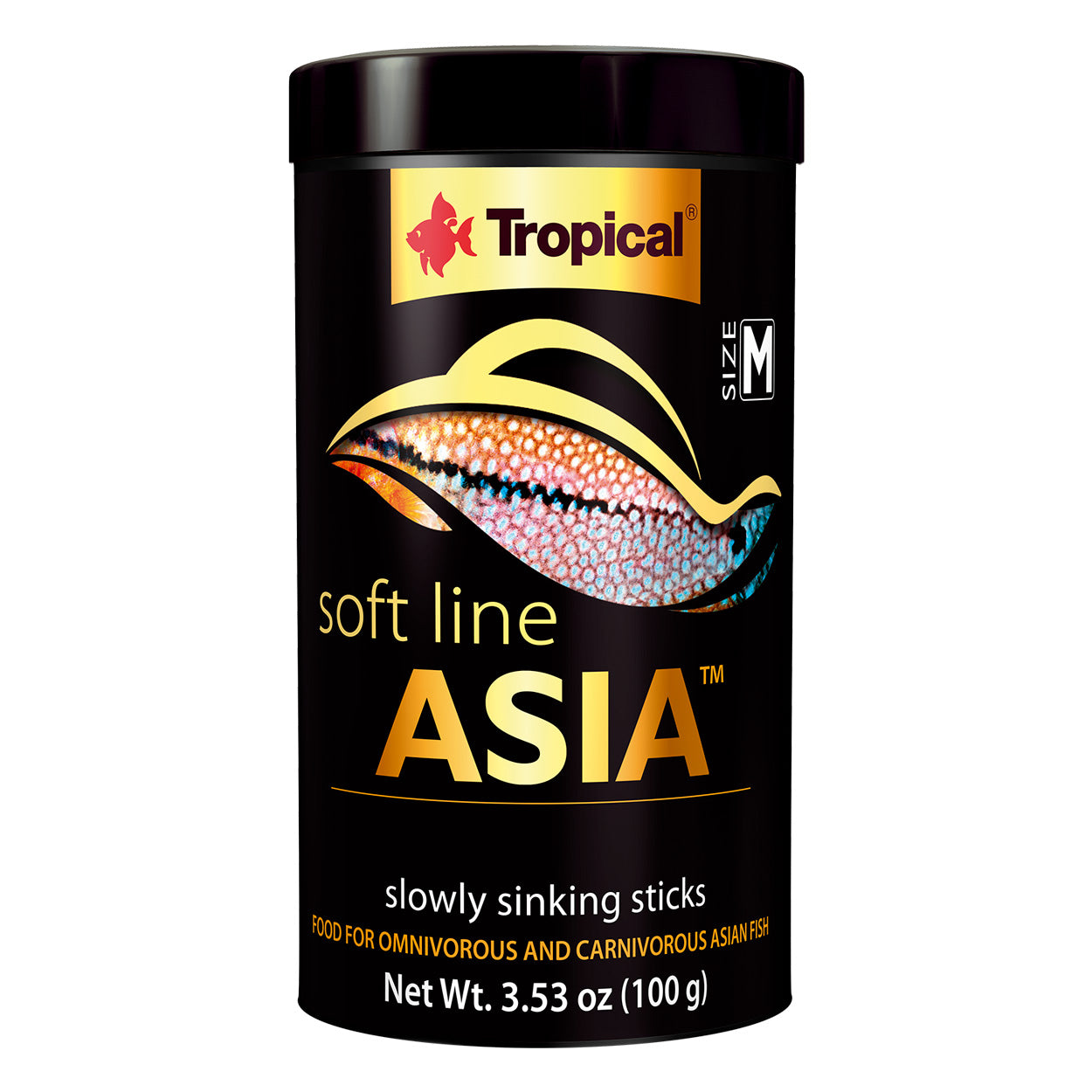 Ligne douce tropicale Asie