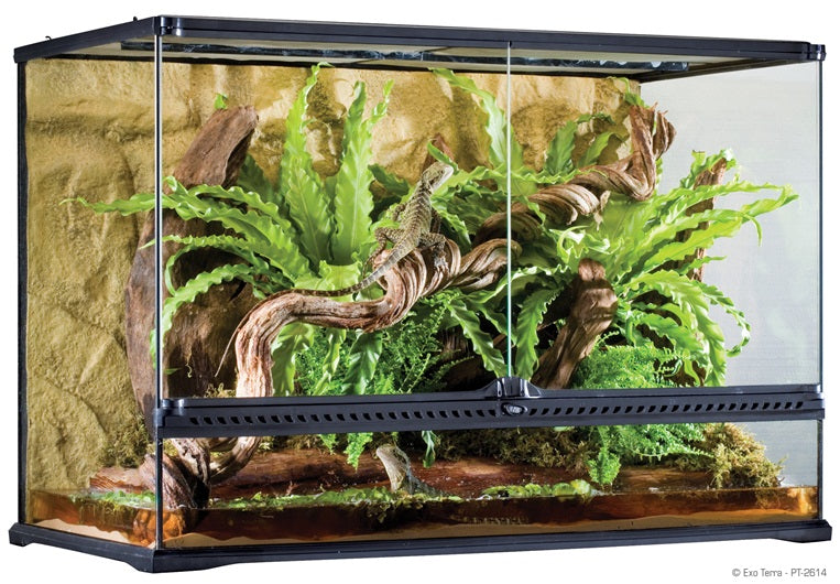 Exo Terra Tall Glass Terrarium - Large (36 x 18 x 24")