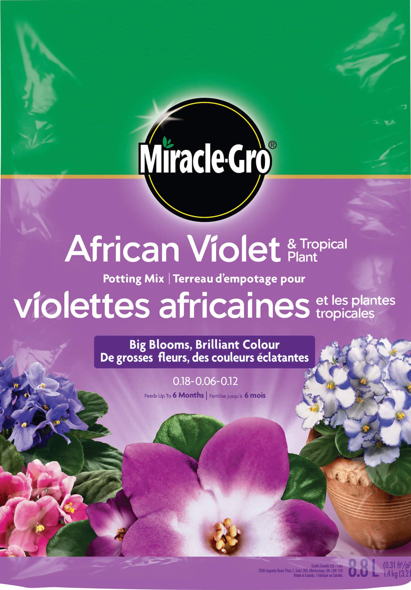 Mélange de violettes africaines et de plantes tropicales Miracle Gro 8,8 l