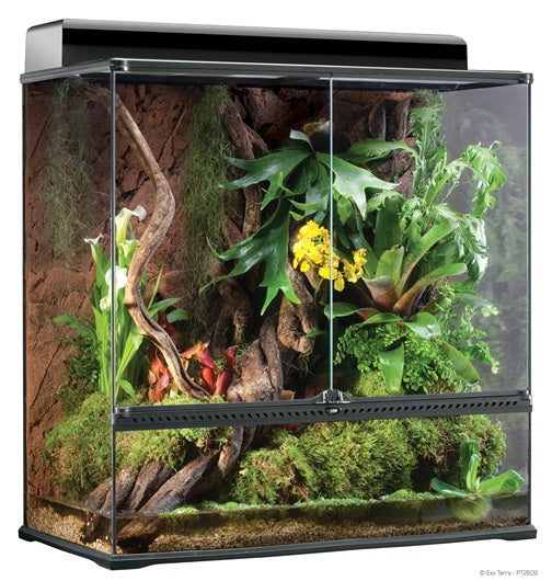 Exo Terra Paludarium & Glass Terrarium - Large X-Tall - (36 x 18 x 36")