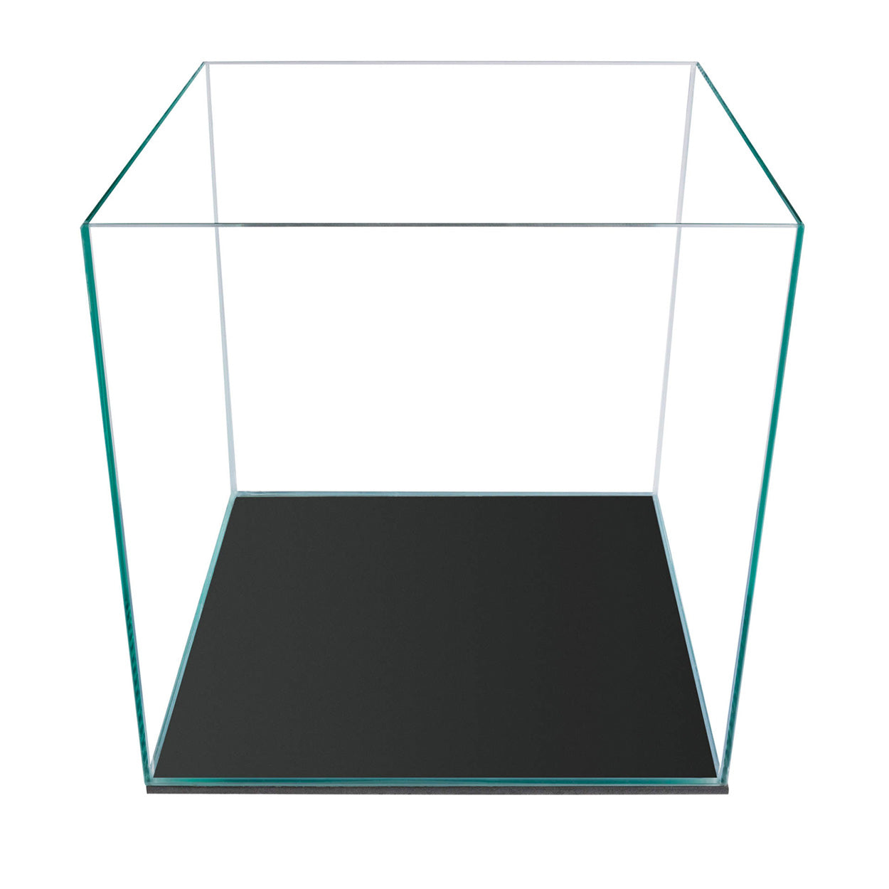 Aqueon Framless/Rimless Aquarium