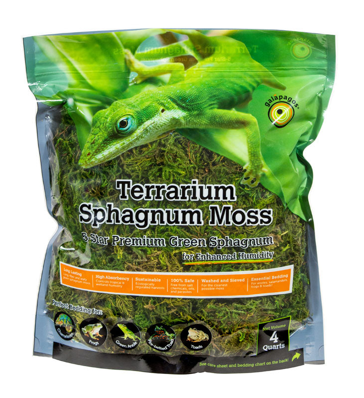 Sphagnum Moss for Plants - Orchid Sphagnum Moss Dried,Plant Potting Mix for  Carnivorous Plants, Moss, Naturally Air price in Saudi Arabia,   Saudi Arabia