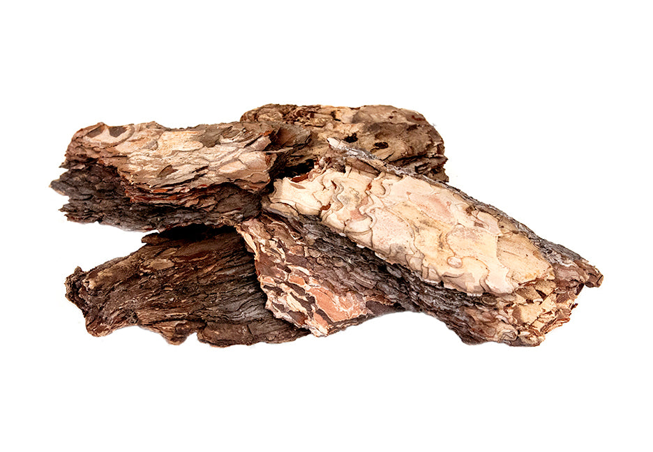 Écorce des Galapagos