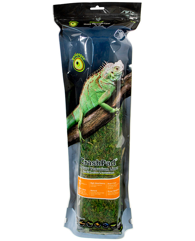 Crash Pad moussu des Galapagos