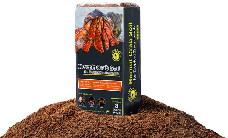 Galapagos Hermit Crab Tropicoco Soil