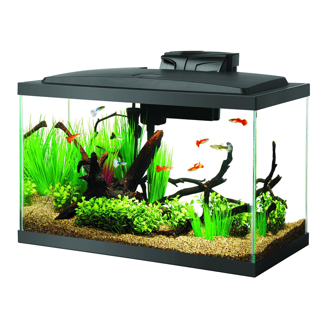 Kits d'aquarium LED Aqueon