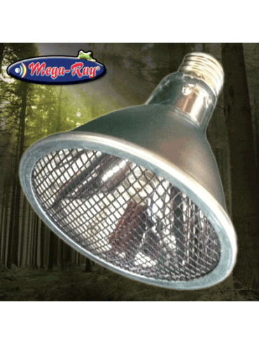 Mega-Ray Infrared Heat Projector