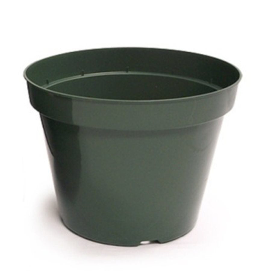 Azalea Green Plastic Pot