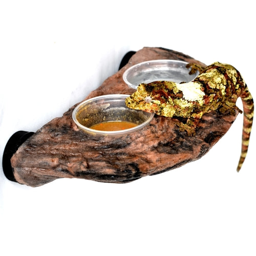 Rebord de gecko Magnaturals