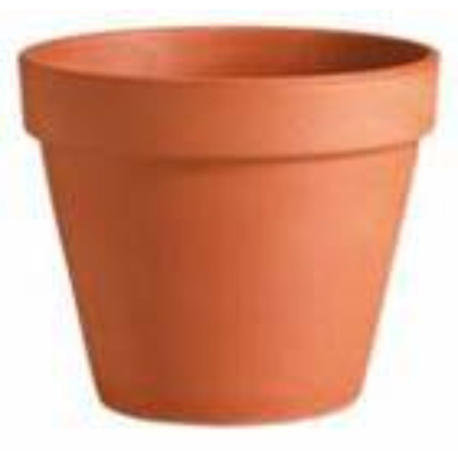 Clay Pots