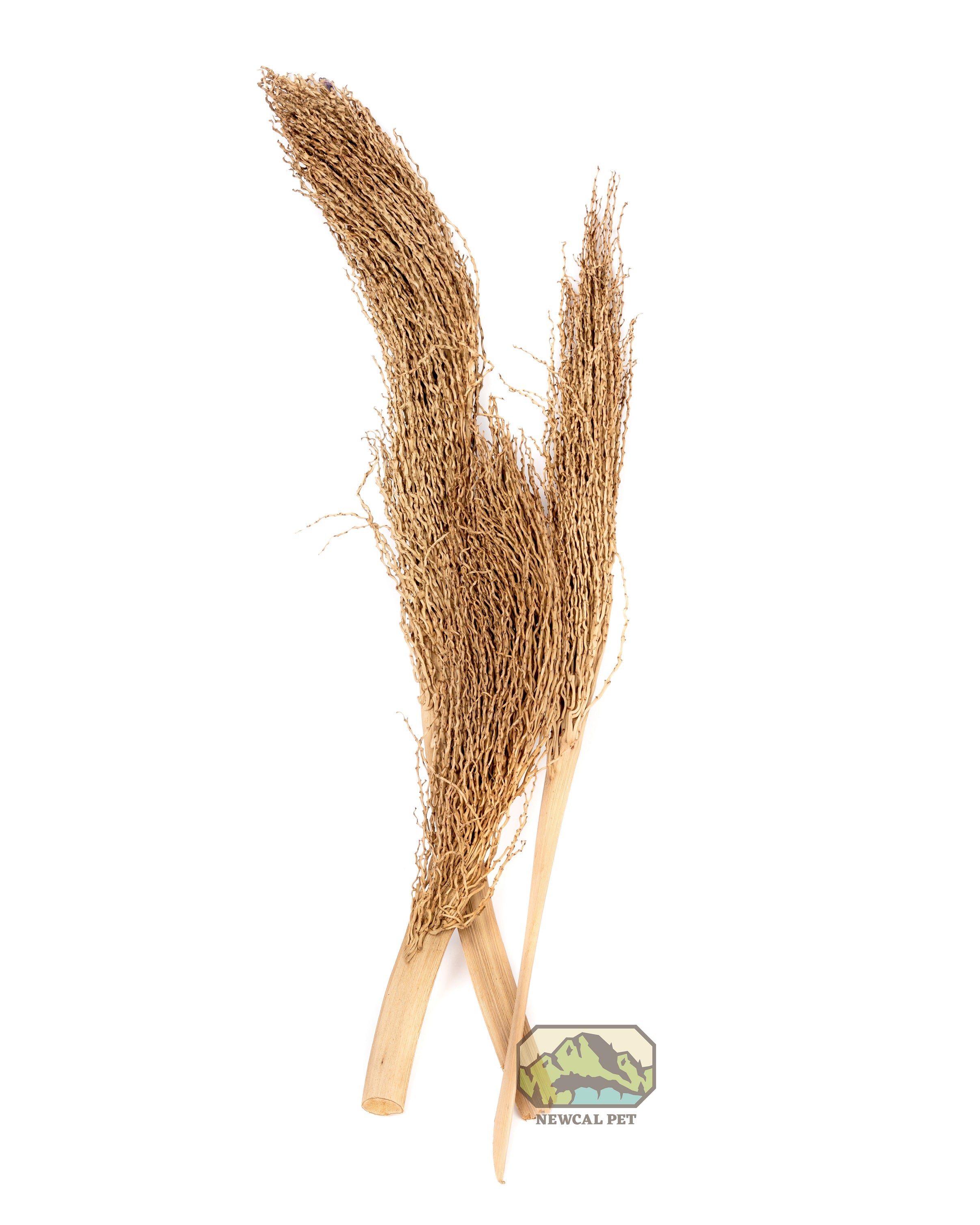 NewCal Palm Torch 12"