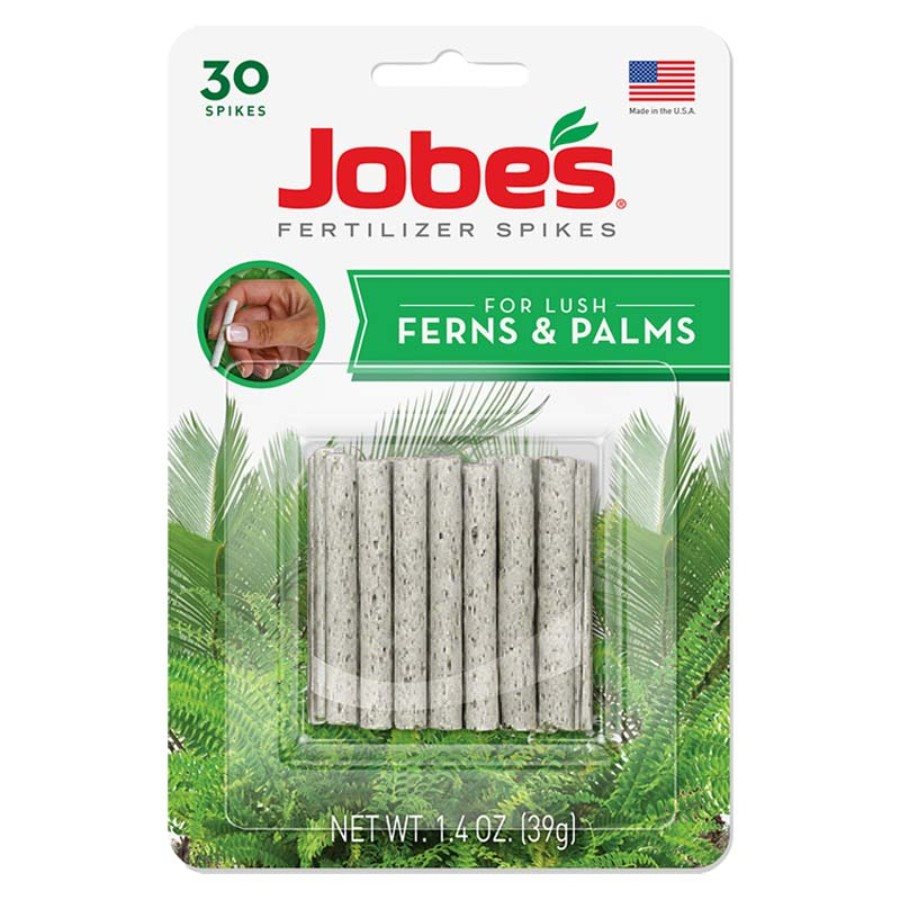 Fougères et épis de palmier de Jobe