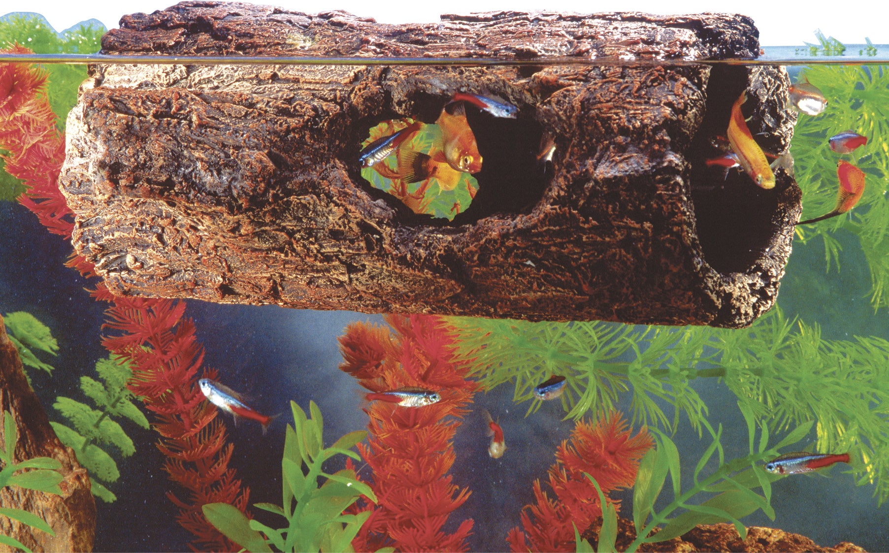 Zoo Med Floating Aquarium Log