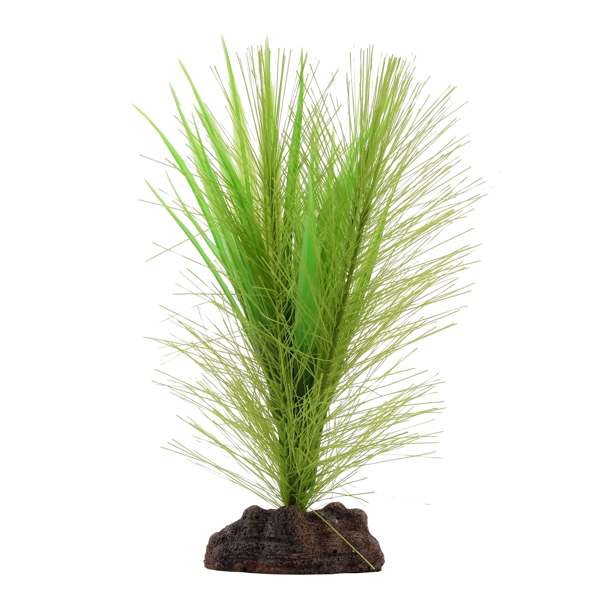 Mélange de Vallisnerias à plumes de perroquet Fluval Plantscapes, petit format