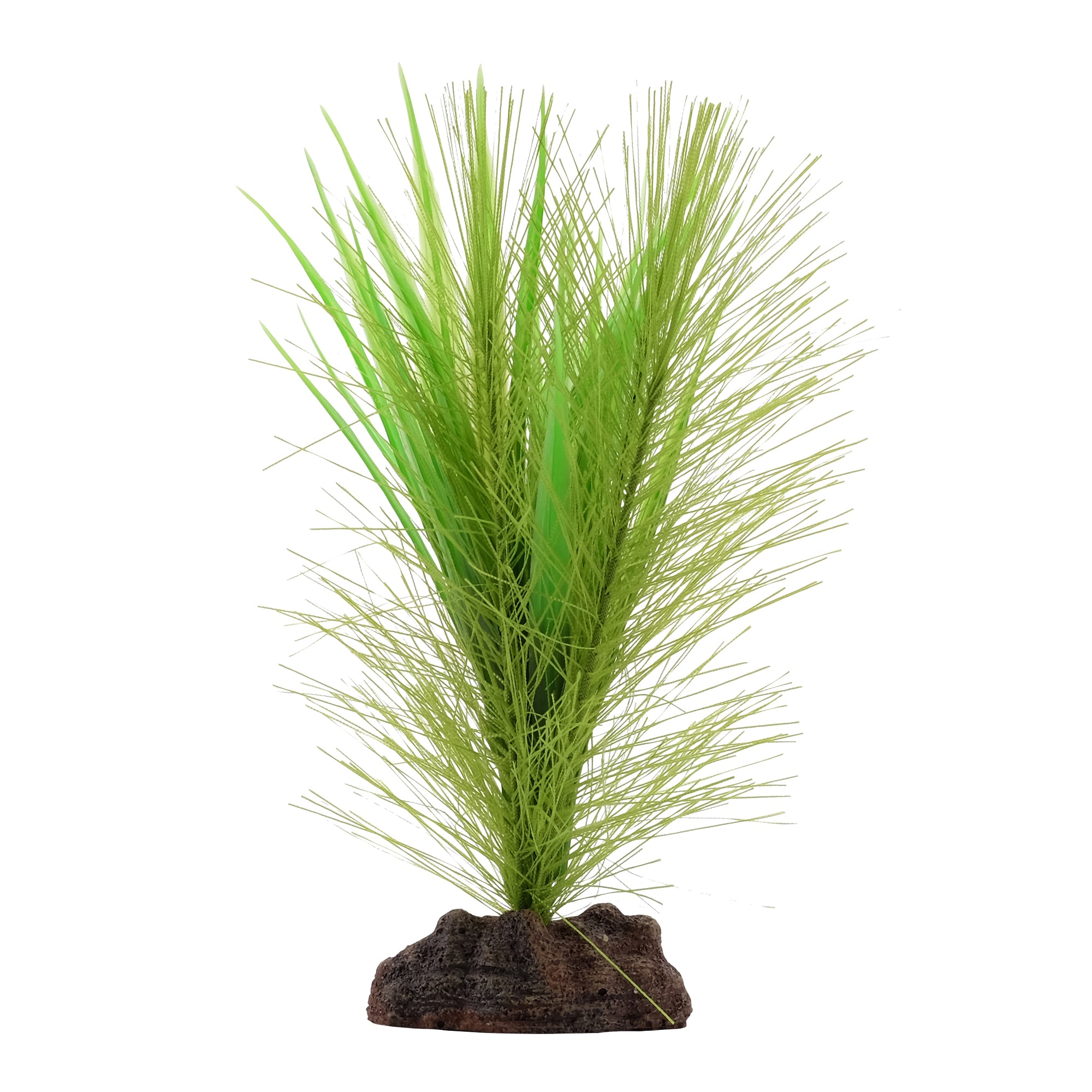 Fluval Plantscapes Parrot's Feather Vallisneria Mix small