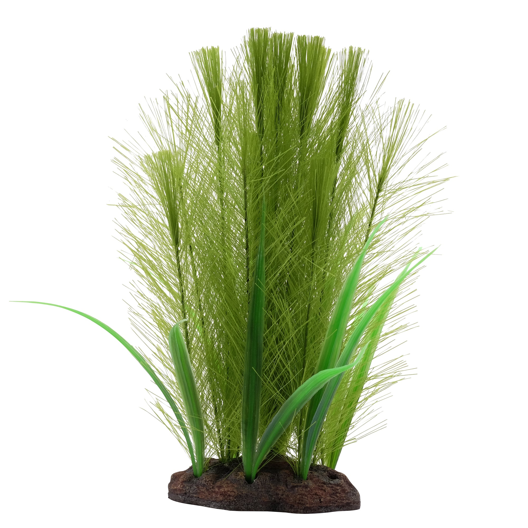Mélange de Vallisnerias à plumes de perroquet Fluval Plantscapes, taille moyenne