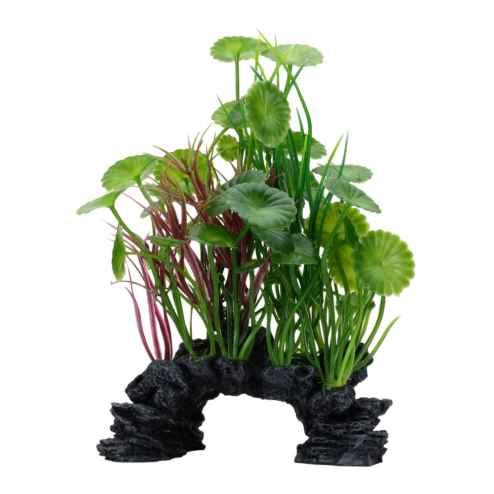 Lysimaque vert Fluval Aqualife Decoscapes