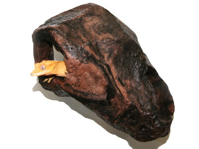 Petite cachette Magnaturals