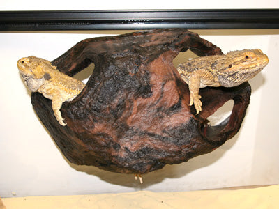 Grande cachette Magnaturals