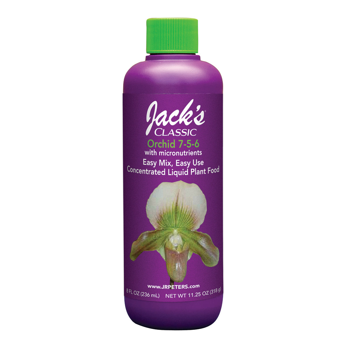 Jack's Classic  Orchid
