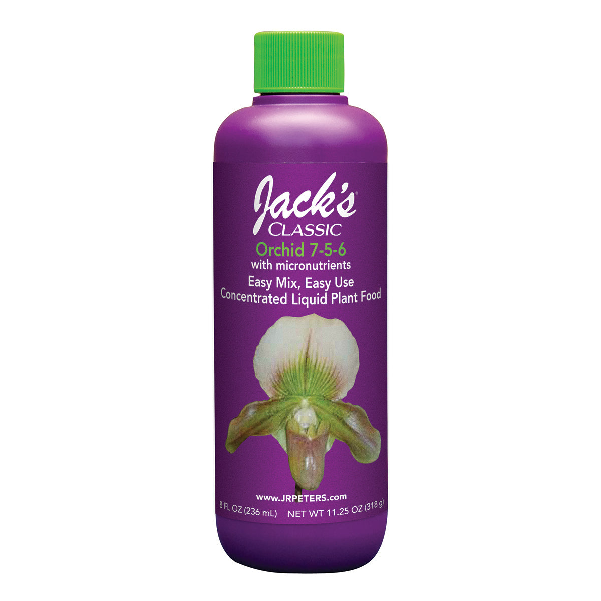 Jack's Classic Orchid