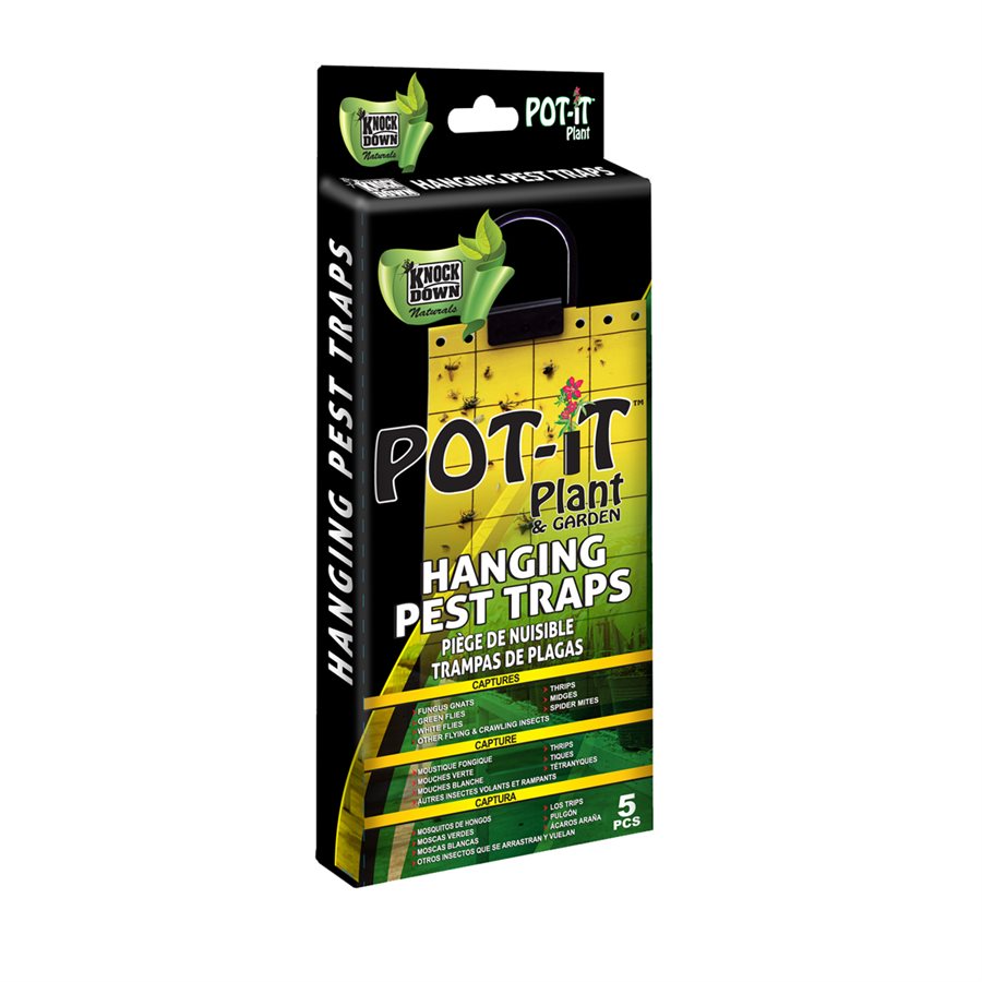 KD Sticky Traps 5 pack