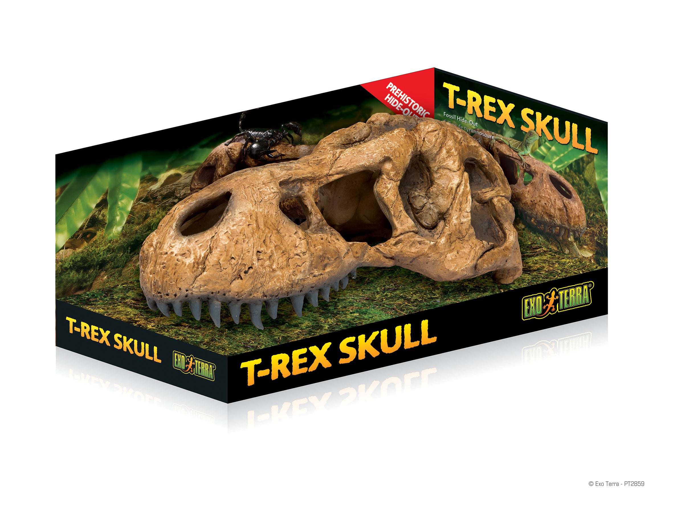 Exo Terra T-Rex Skull Fossil Hideout