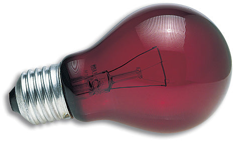 Zoo Med Nightlight Red Reptile Bulb