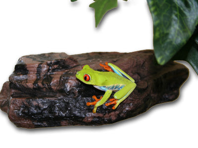 Petit rebord rocheux Magnaturals