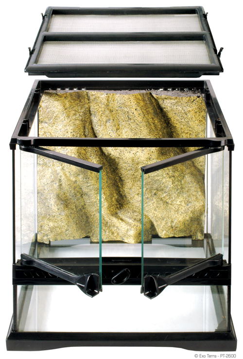 Exo Terra Mini Glass Terrarium (2 Sizes)