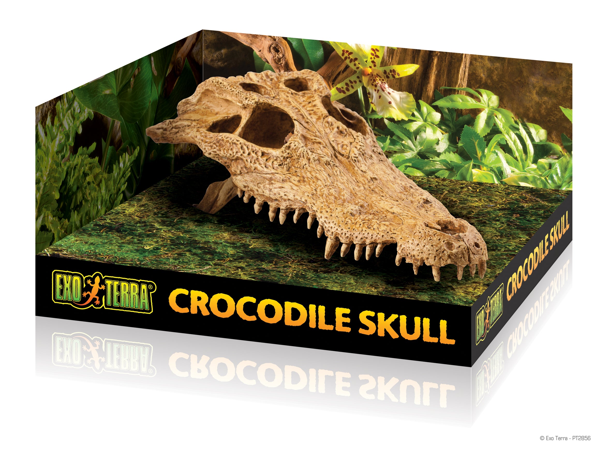 Crâne de crocodile Exo Terra