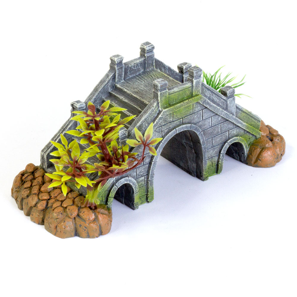 Pont de pierre Aquafit