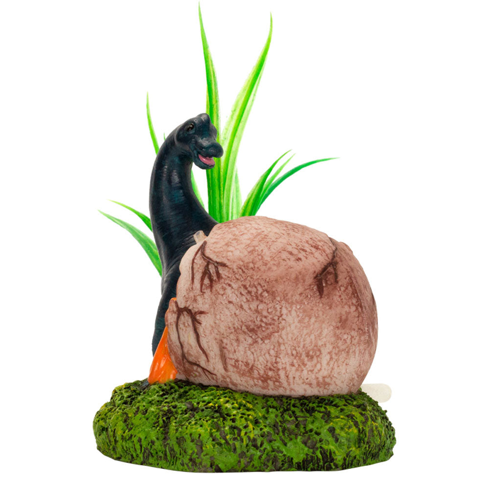 Aquafit Brachiosaurus Dino Egg