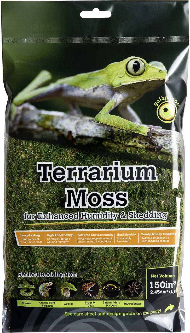 Galapagos Sheet Moss