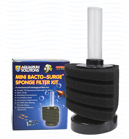 Hikari Bacto Surge filter (Special Order Product)