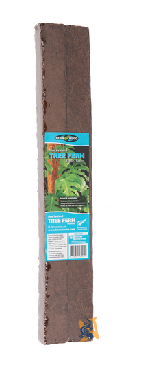 Totems de fougères arborescentes de Fernwood