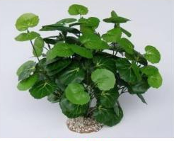 Aquaglobe Silk Malus 14" (Special Order Product)