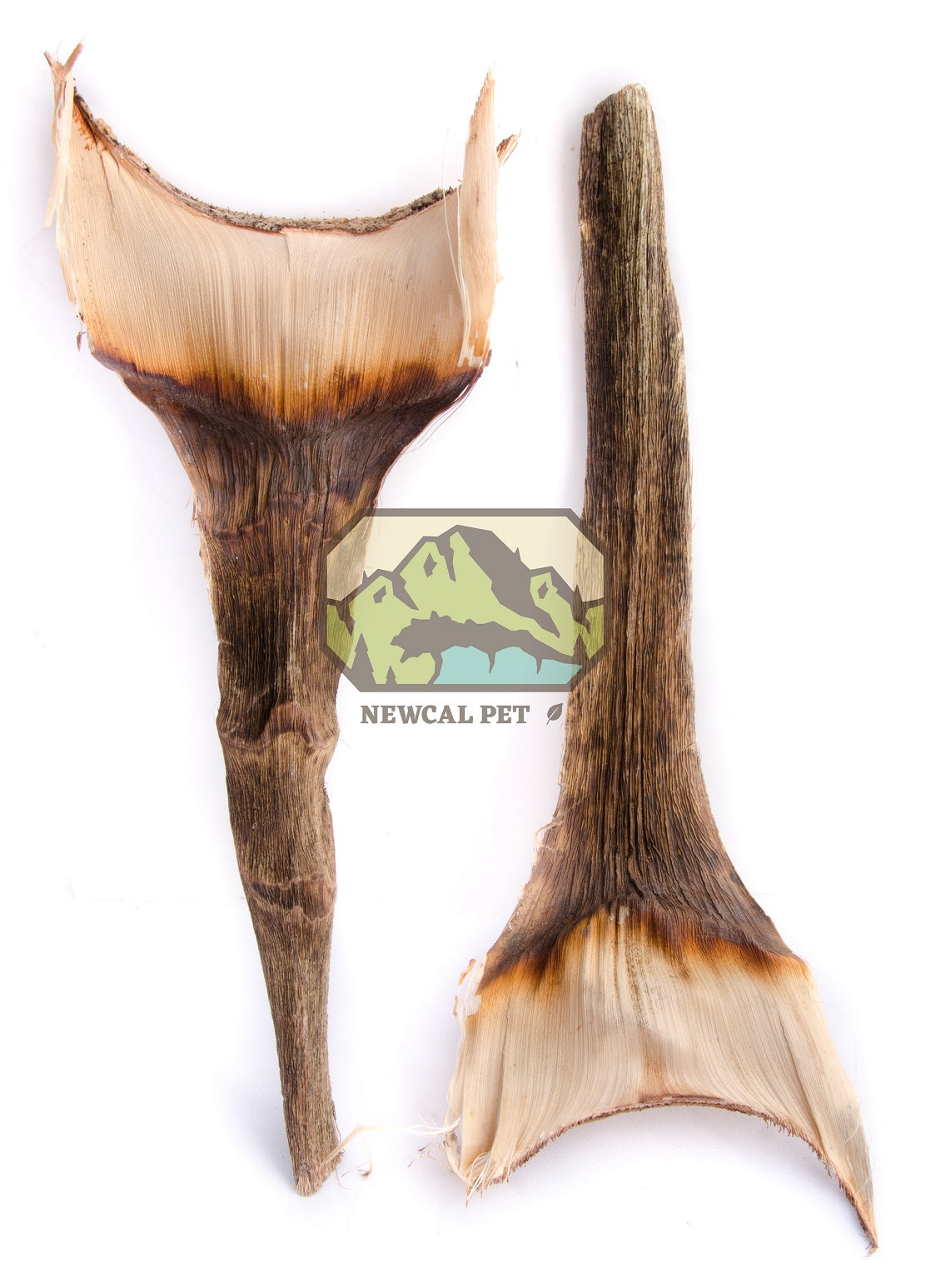 Feuilles d'agave NewCal (paquet de 2)