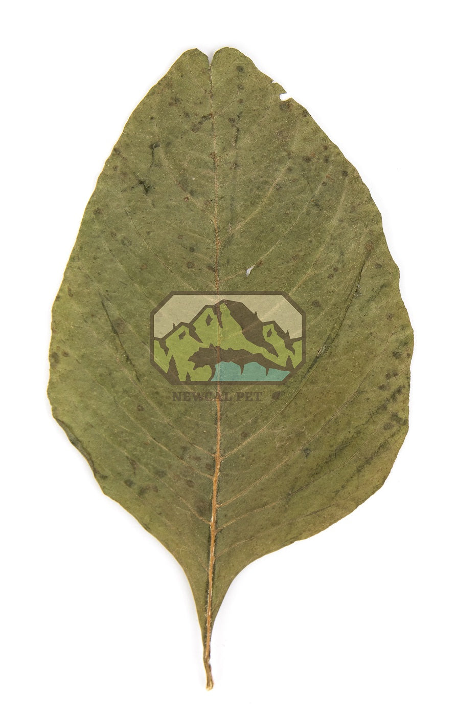 NewCal Amaranth Leaves