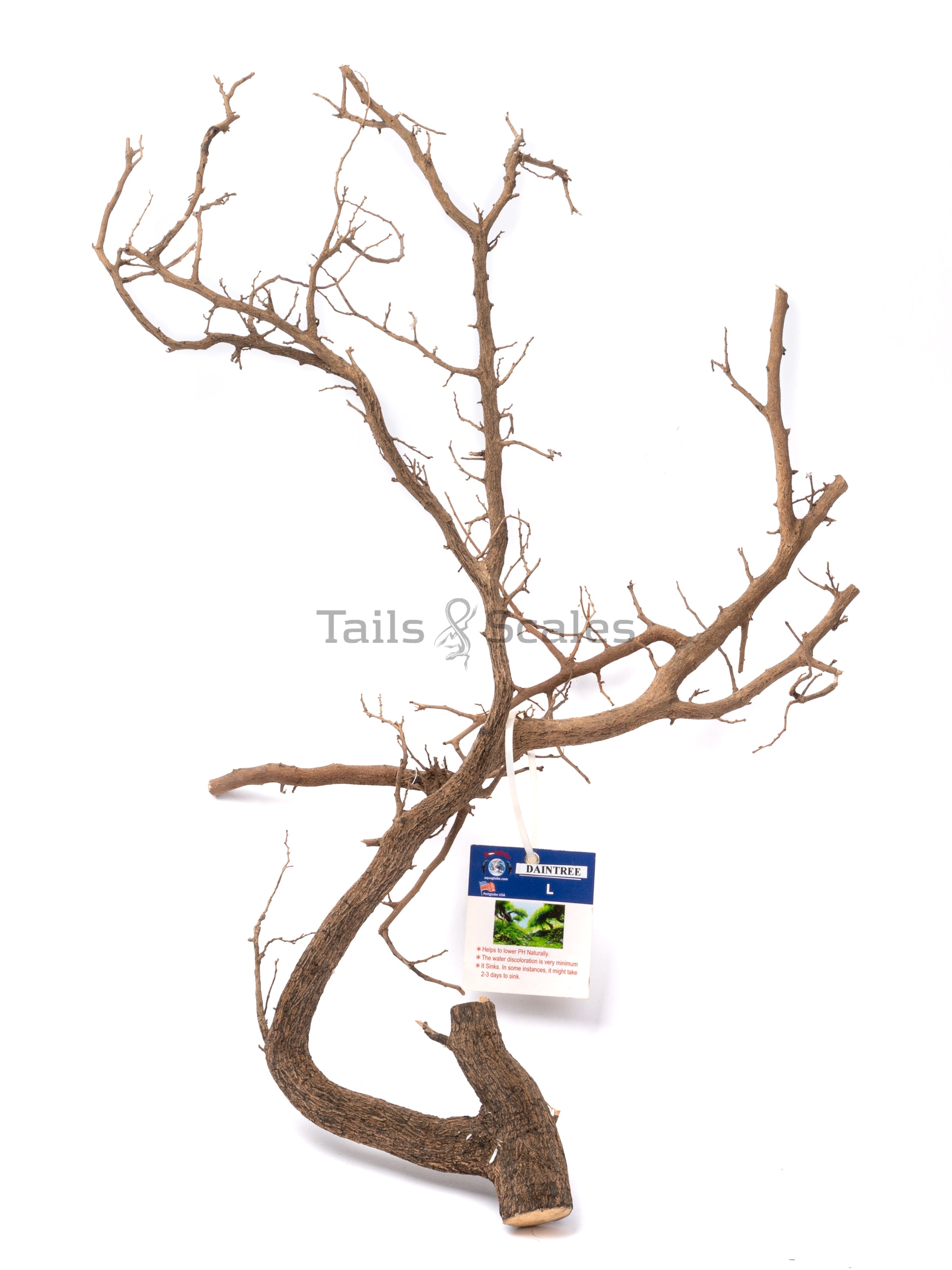 Aquaglobe Daintree Wood (Liquidation - Vente finale)