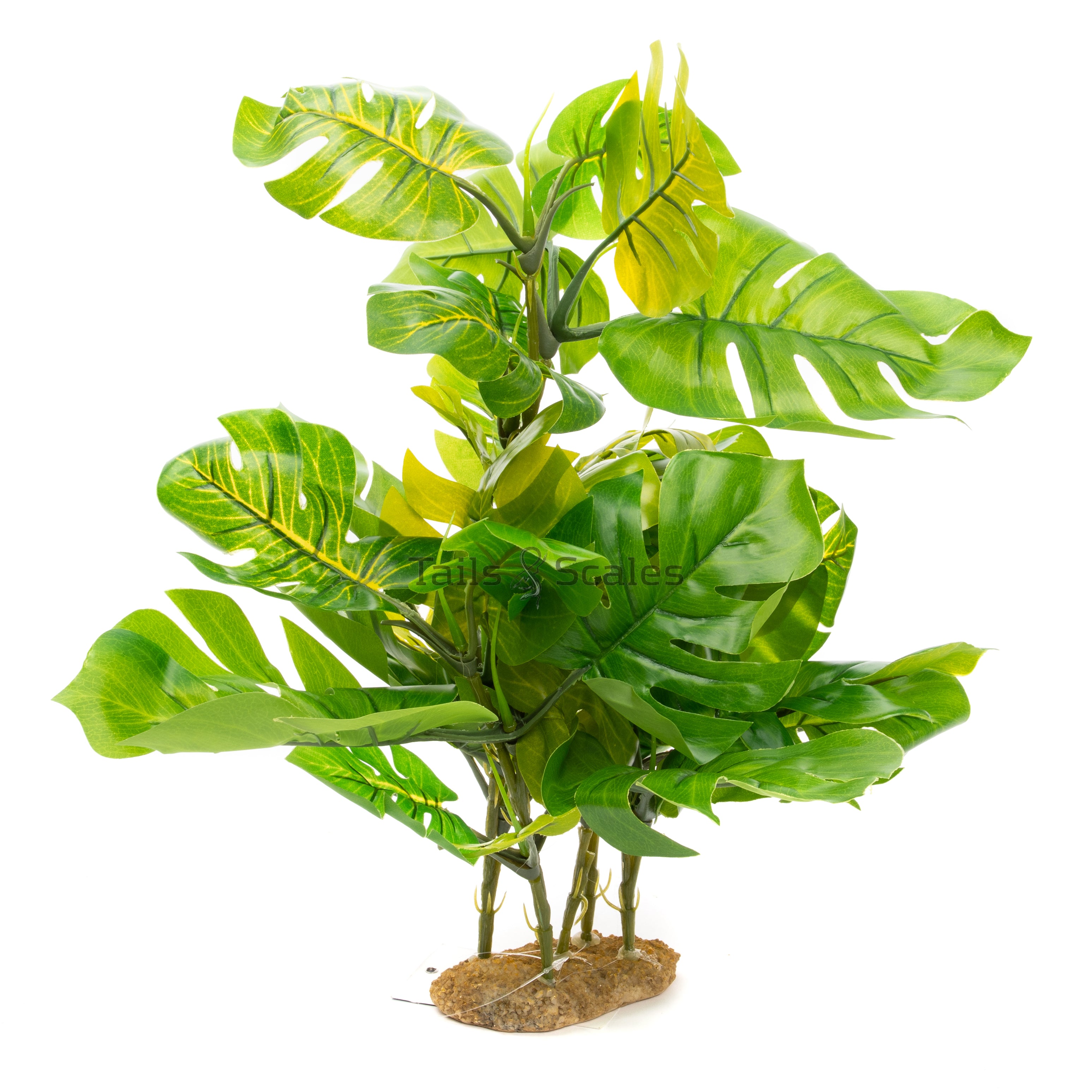 Aquaglobe Silk Monstera (Special Order Product)