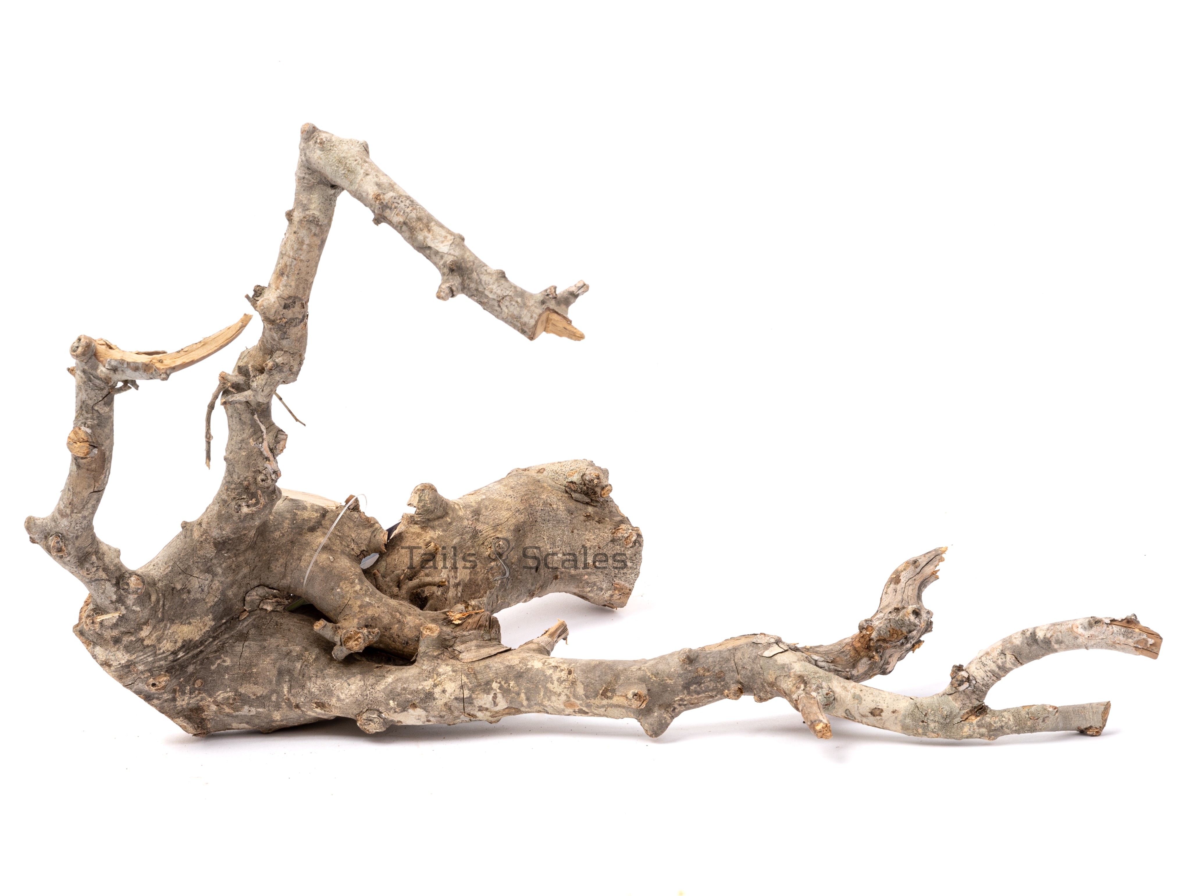 Aquaglobe Naintal Wood