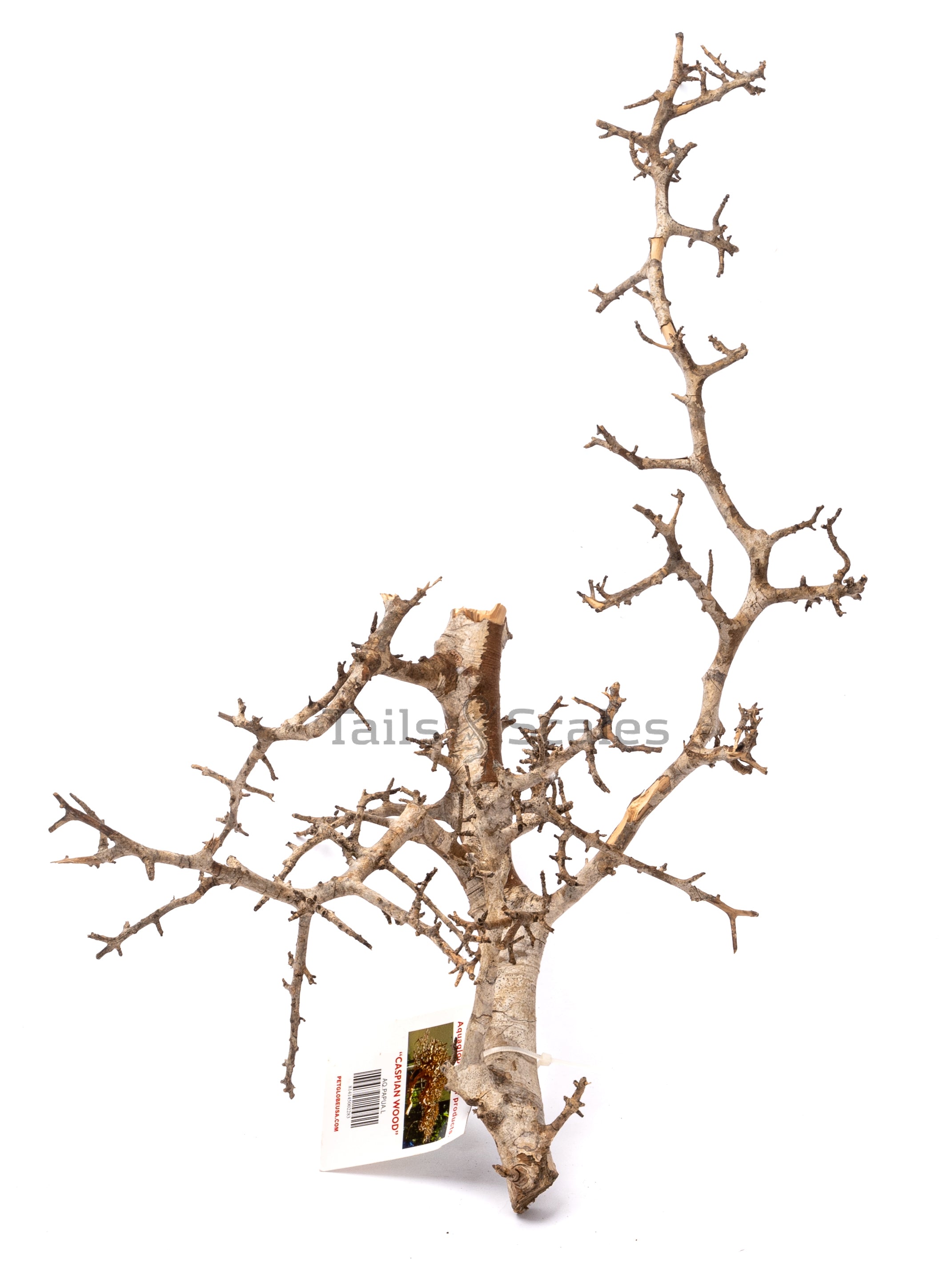 Aquaglobe Papua Wood