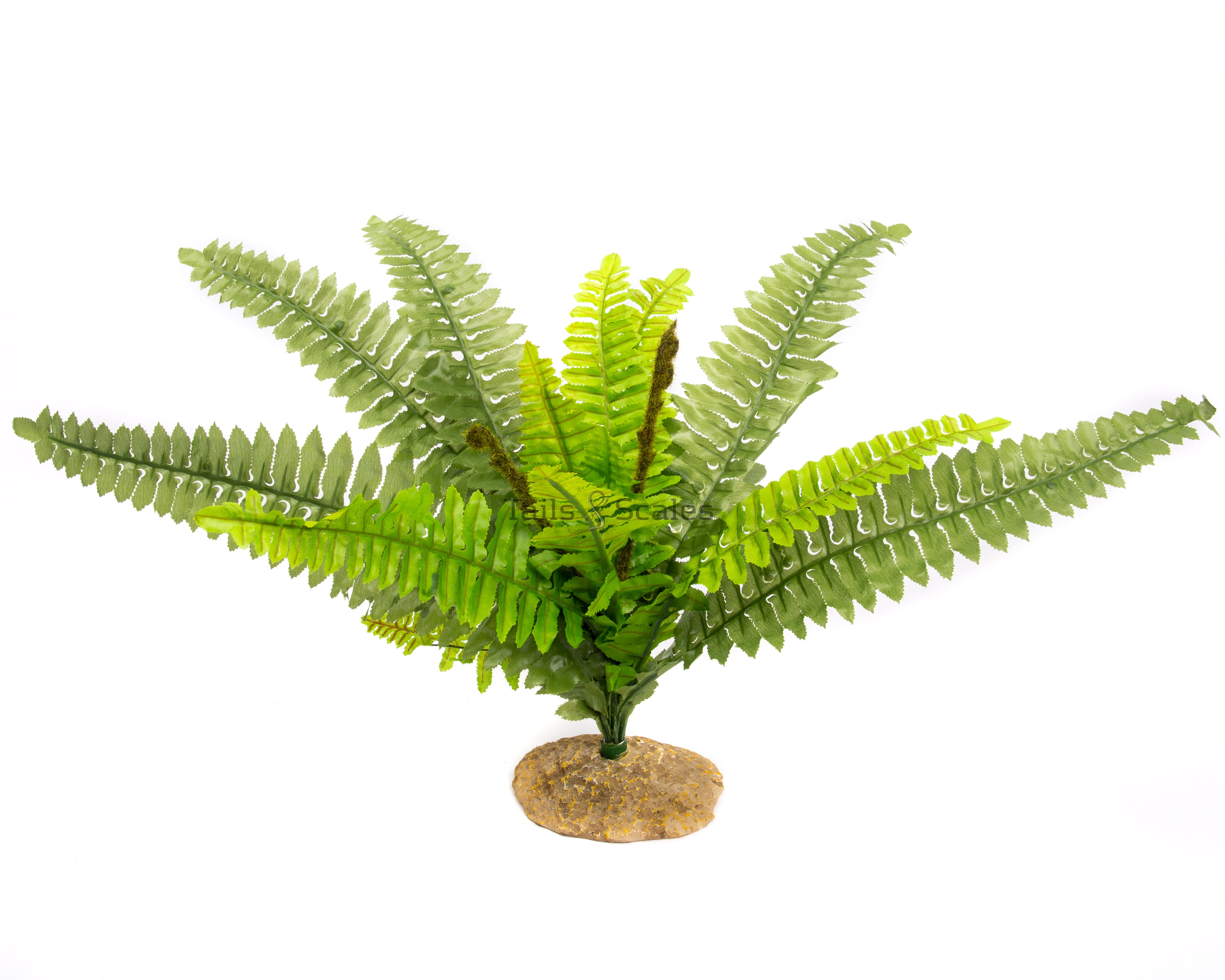 Aquaglobe Silk Fern Leaf