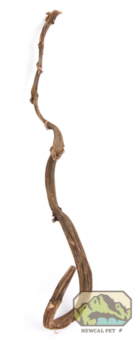 NewCal Banana Cane Stick 30"