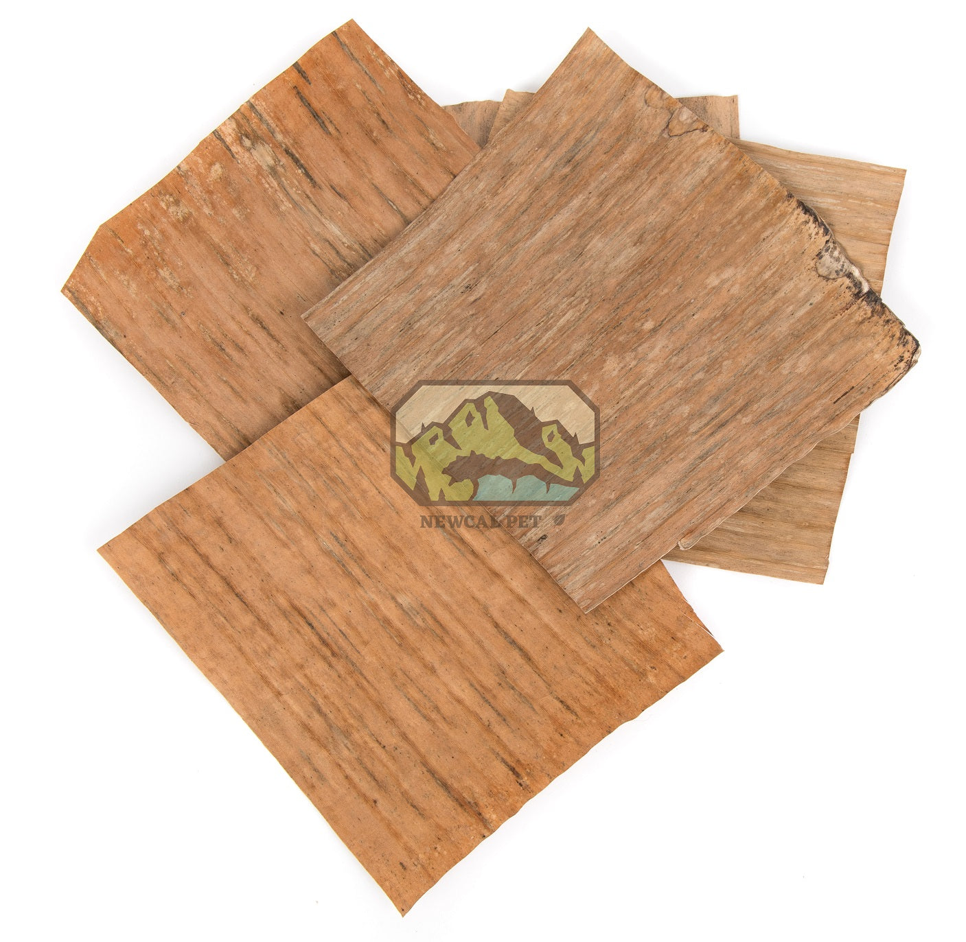 NewCal Banana Leaves